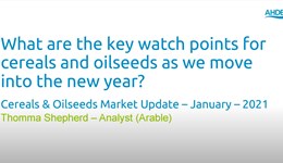 Cereals & Oilseeds Market Update January 2021